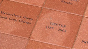 A Brick Brick text is centered on the brick, and can include 1 to 5 lines.